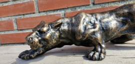 PANTER