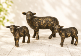 SCHAAP MET 2 LAMMETJES