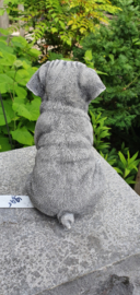 MOPS HONDJE