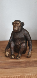 CHIMPANSEE