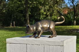BRONZEN BRUINE POES