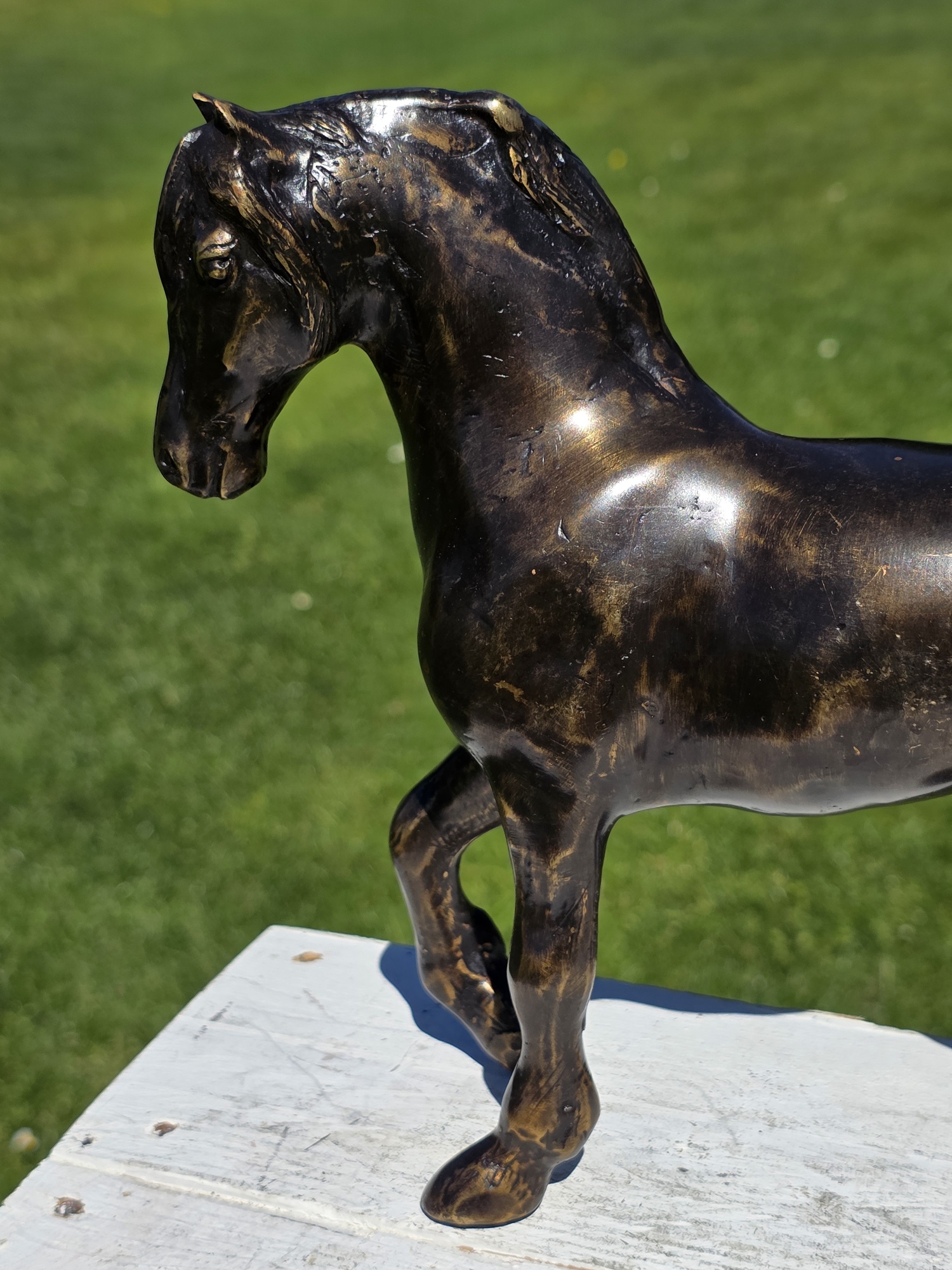 FRIES PAARD