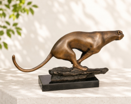 JACHTLUIPAARD / CHEETAH