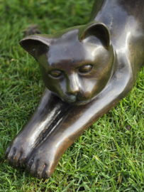 GROTE STREKKENDE POES