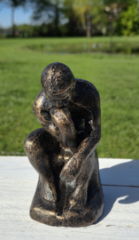 DE DENKER / RODIN