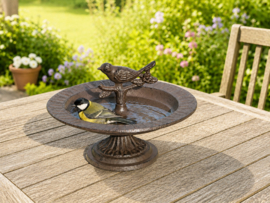 VOGELBAD OP VOET