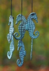 WINDGONG MET ZEEPAARDJES