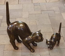 GROTE POES DIE SCHRIKT