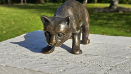 BRONZEN BRUINE POES