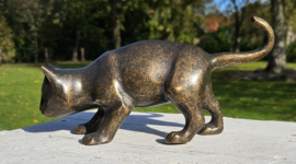 BRONZEN BRUINE POES