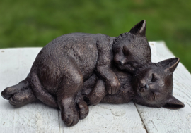 2 SLAPENDE POEZEN / KITTENS