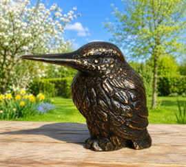 IJSVOGEL