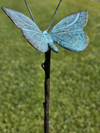 BRONZEN VLINDER
