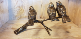 3 VOGELS OP TAK