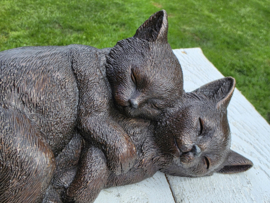 2 SLAPENDE POEZEN / KITTENS