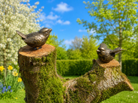 VOGELTJES
