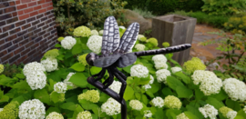 LIBELLE