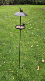 VOGELSCHAAL MET DAK