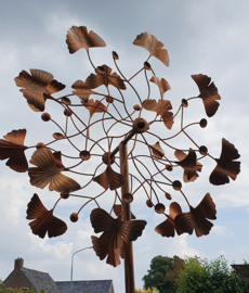 WINDMOLEN GINKO