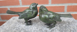 SETJE MUSSEN / GROEN