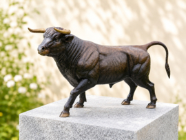 STIER
