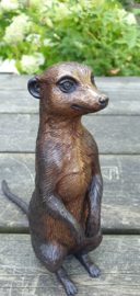 STOKSTAARTJE / ZITTEND