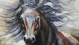CANVAS SCHILDERIJ / PAARD