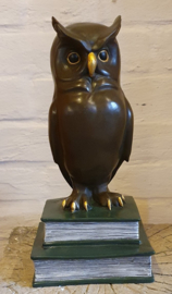 WIJZE UIL