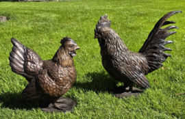 HAAN EN HEN / KIPPEN