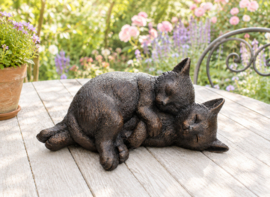 2 SLAPENDE POEZEN / KITTENS