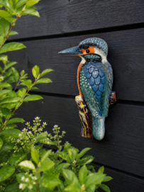 IJSVOGEL