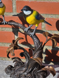 TAK MET PIMPELMEES EN KOOLMEES