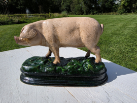 VARKEN