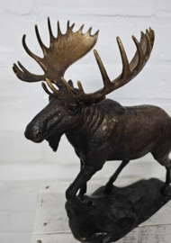 ELAND