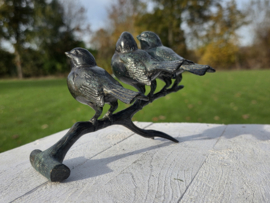 3 VOGELS OP TAK / GROEN