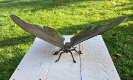 VLINDER