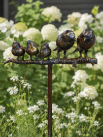 5 VOGELS OP TAK  / FAMILIE