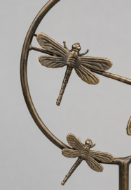 CIRKEL MET LIBELLE