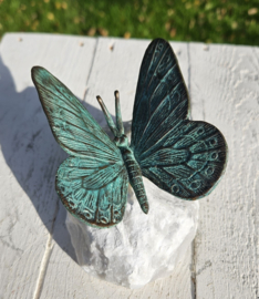 VLINDER OP NATUURSTEEN