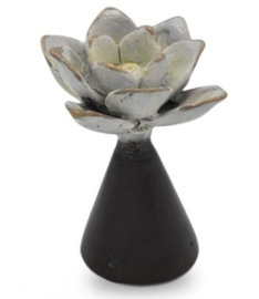 URN / LOTUS BLOEM