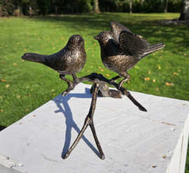 2 VOGELS OP TAK / VLEUGELS WIJD