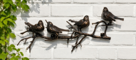 TAK MET 4 VOGELS