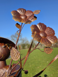 VOGELVERSCHRIKKER / MEISJE