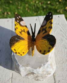 BRONZEN VLINDER OP NATUURSTEEN / GEEL
