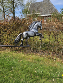 BALANSPRIKKER  / FRIES PAARD
