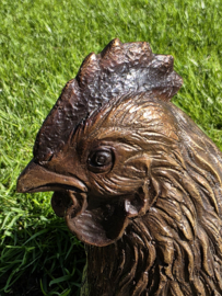 HAAN EN HEN / KIPPEN