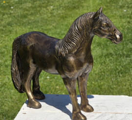 FRIES PAARD