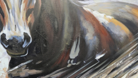 CANVAS SCHILDERIJ / PAARD