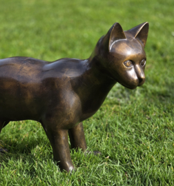 GROTE STAANDE KAT /POES