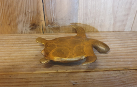 SCHILDPAD